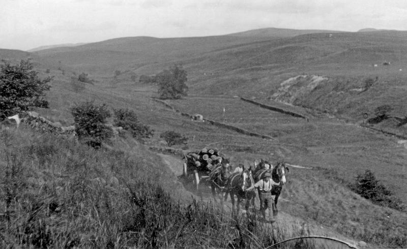 Timber hauling c 1912.JPG - Timber being carted on to New Pasture Lane from beecrofts Wood in Bookil Gill around 1912. Note the landslide on the right hand hillside.